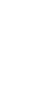 on logo white